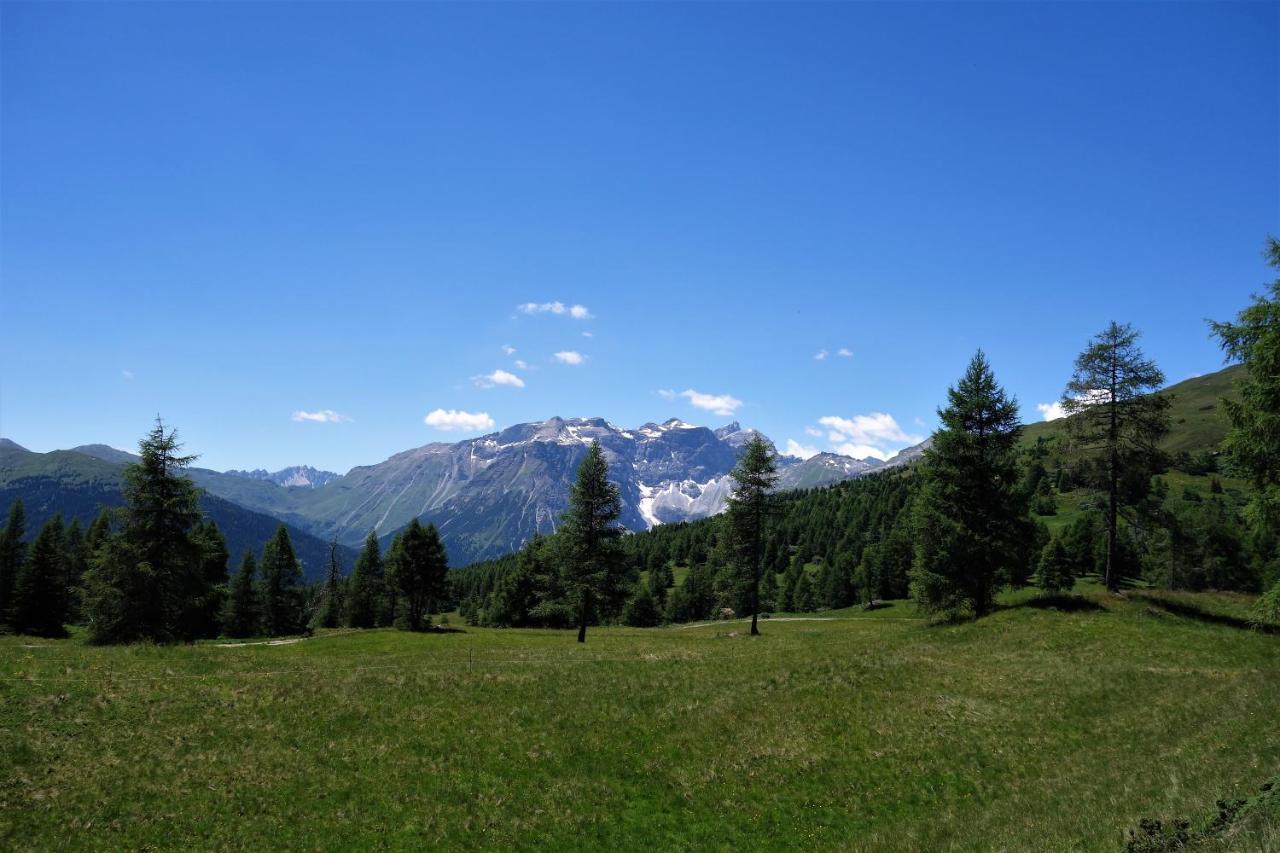 Alpen Gasthof Apartments Hohe Burg Trins Eksteriør billede
