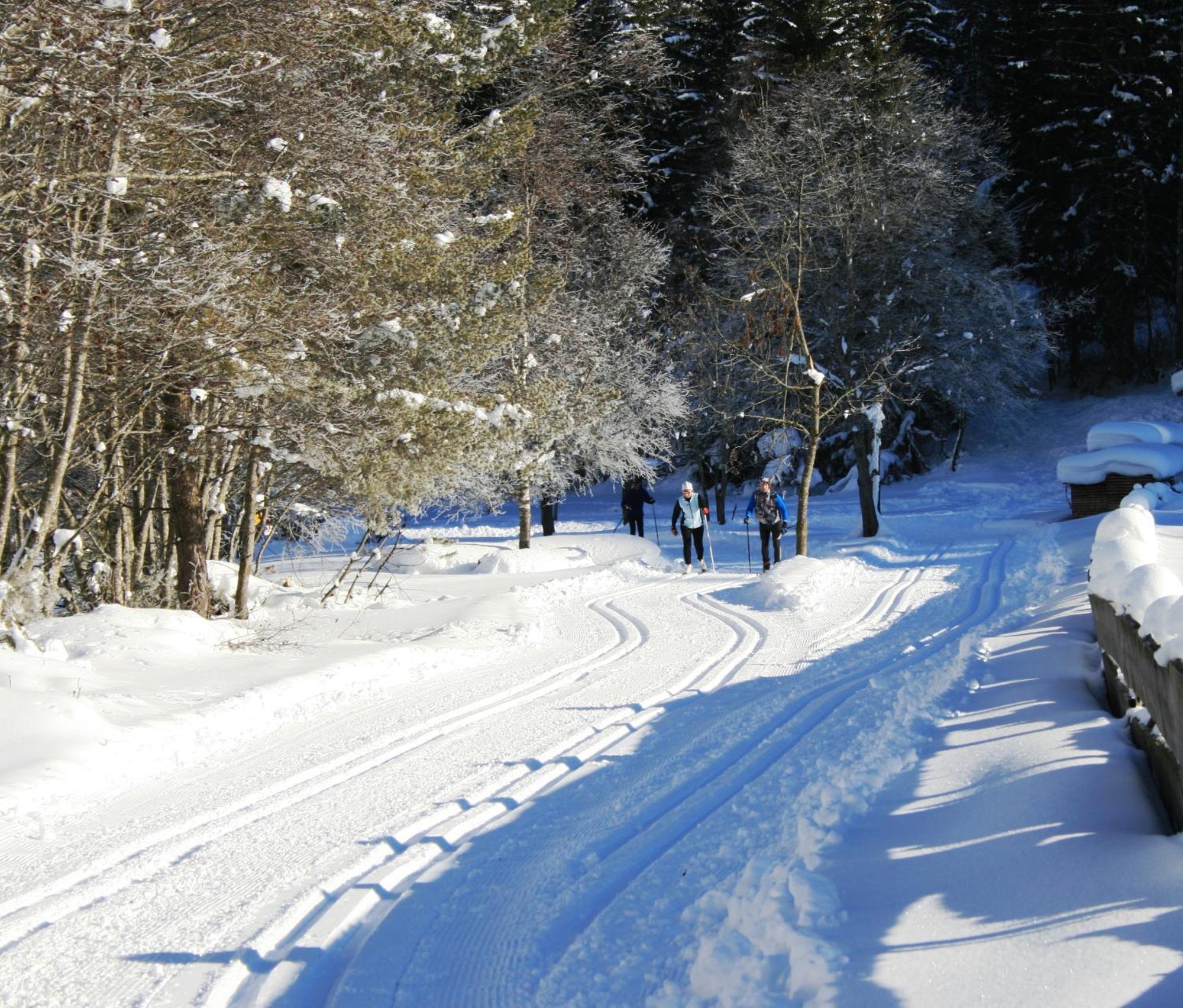 Alpen Gasthof Apartments Hohe Burg Trins Eksteriør billede